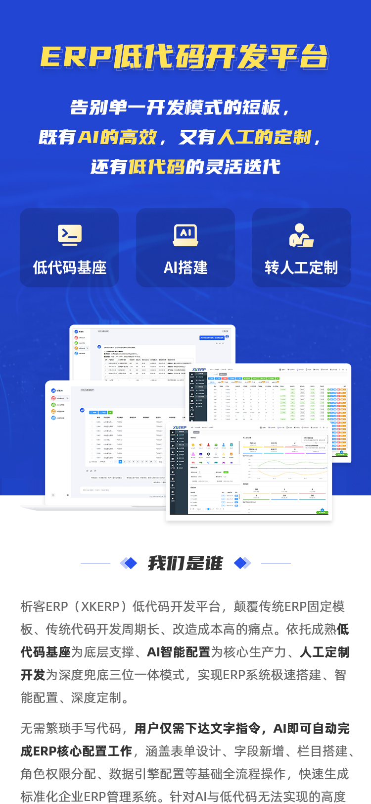低代码erp开发详情图_01.png