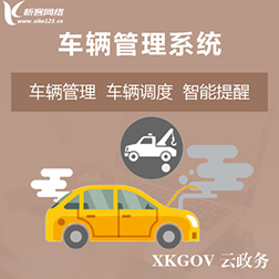 江门网站建设中的本地化服务与支持
